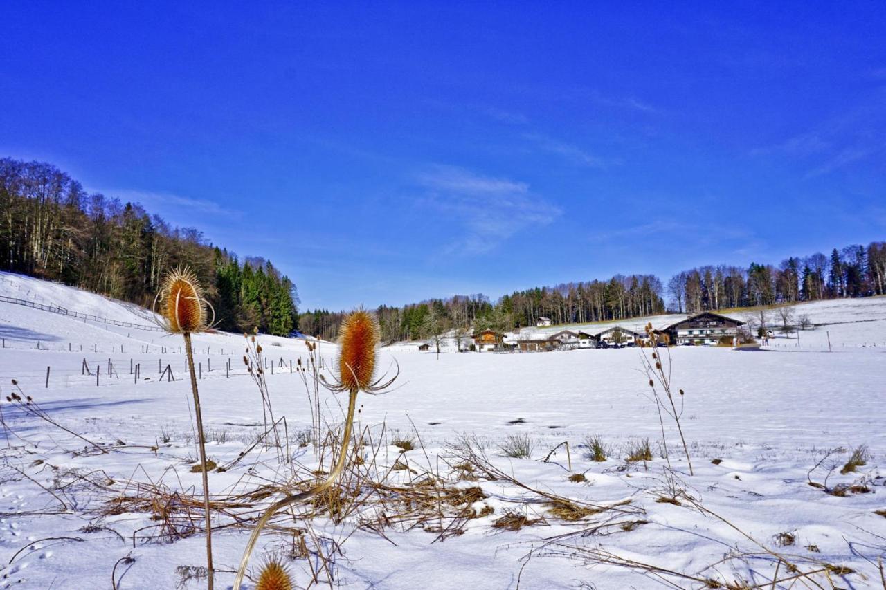 Ferienwohnungen Wanderparadies Bauernhof Aschau im Chiemgau Exterior photo